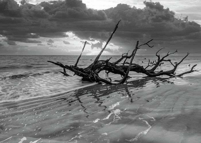 Black Greeting Card featuring the photograph Waves at Sunrise Jekyll Island Black and White by Debra and Dave Vanderlaan