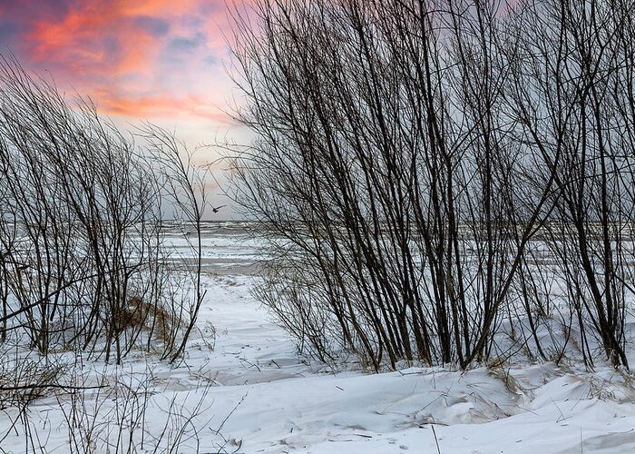 Snowy Day Greeting Card featuring the photograph Way To The Snowy Beach Jurmala by Aleksandrs Drozdovs