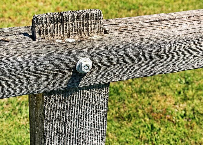 Timber Greeting Card featuring the photograph Weathered Fence by David Desautel