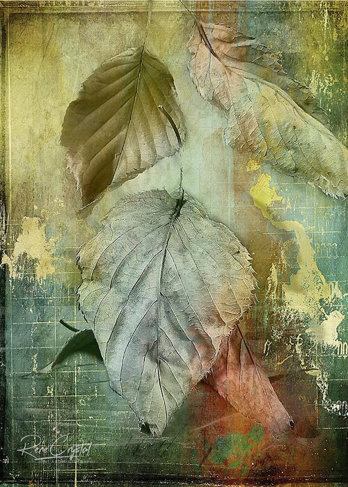 Leaves Greeting Card featuring the photograph Weathering The Change by Rene Crystal