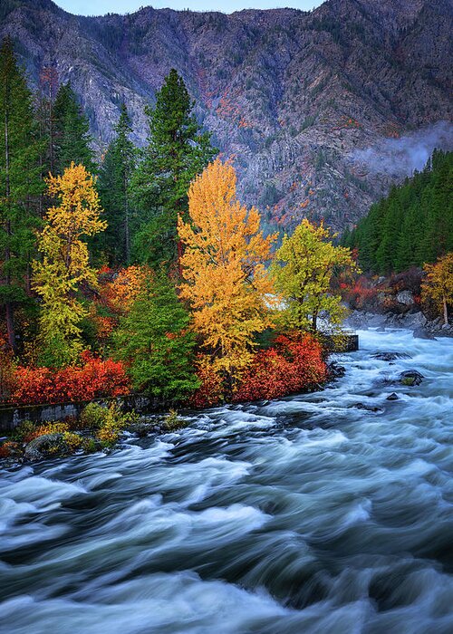 Leavenworth Greeting Card featuring the photograph Wenatchee Autumn Flow by Dan Mihai