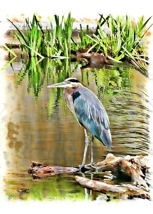 Heron Greeting Card featuring the digital art West Bend Heron by Stacey Carlson
