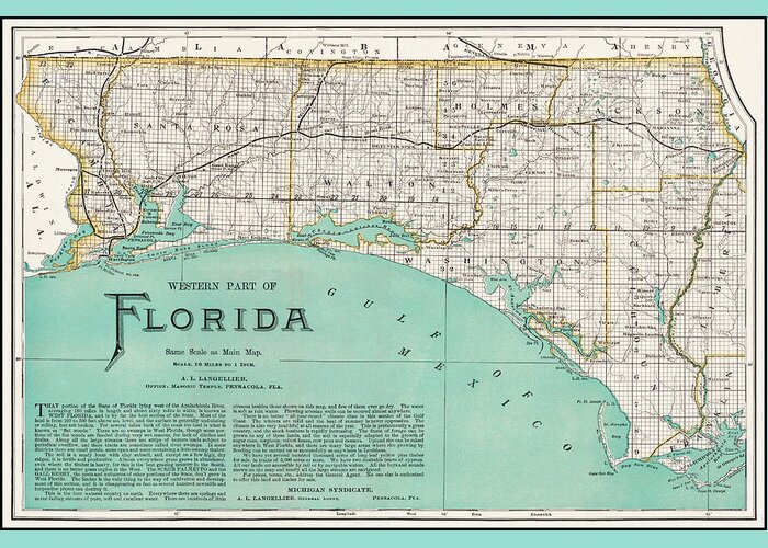 Florida Map Greeting Card featuring the photograph Western Florida Vintage Map 1890 by Carol Japp