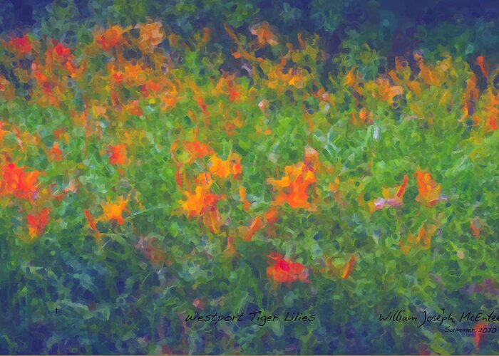 Tiger Lilies Greeting Card featuring the painting Westport Tiger Lilies by Bill McEntee