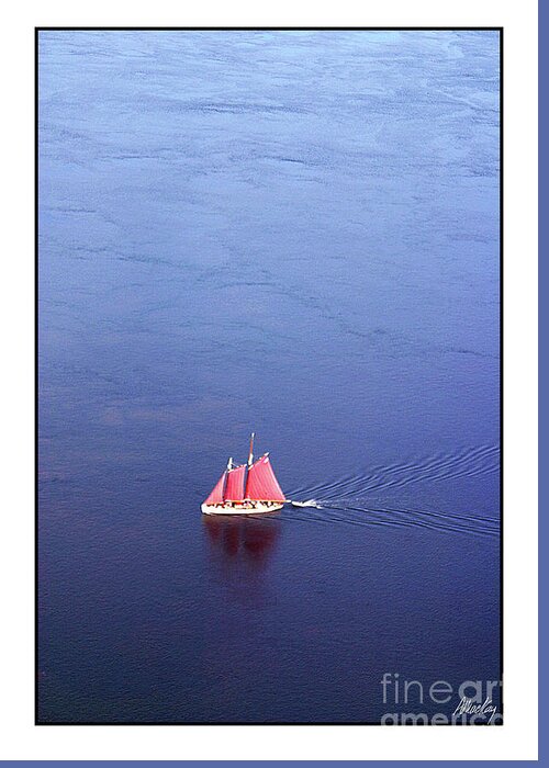 Sylvina W. Beal Greeting Card featuring the photograph Whale Watching on the SchoonerSylvina W. Beal by Art MacKay