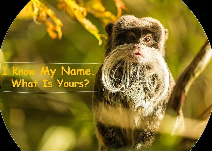 Monkey Greeting Card featuring the mixed media What Is Your Name by Nancy Ayanna Wyatt