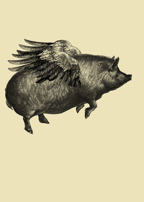 Pig Greeting Card featuring the digital art When Pigs Fly by Madame Memento