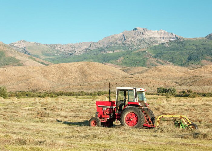 Elko Greeting Card featuring the photograph When Tractors Were Good by Todd Klassy