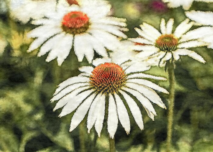 White Flowers Greeting Card featuring the photograph White Coneflowers by Tanya C Smith