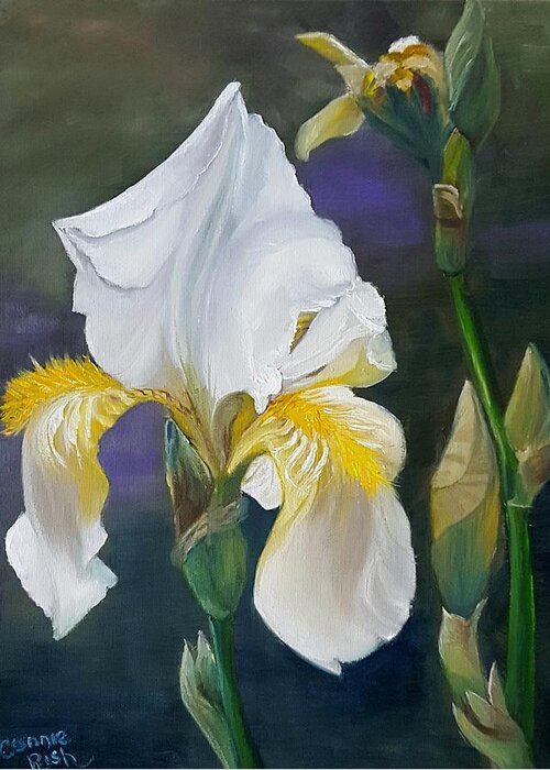 White Iris Greeting Card featuring the painting White fleur de lis Bloom by Connie Rish