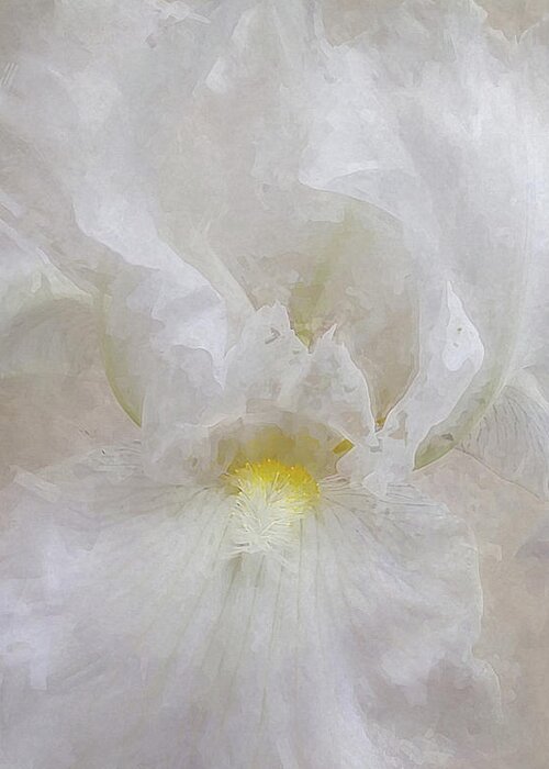 White Greeting Card featuring the photograph White Iris IV by Karen Lynch