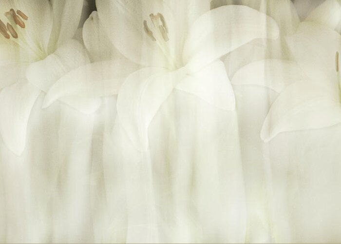 Lilies Greeting Card featuring the photograph White Lilies Abstract by Cheryl Day