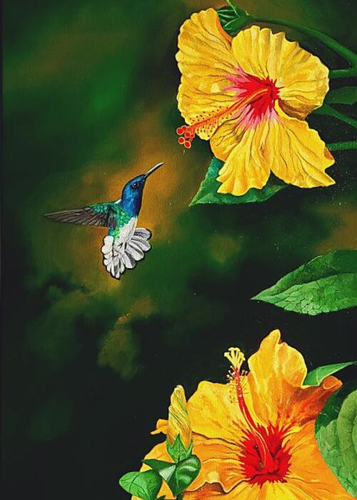Birds Greeting Card featuring the painting White Necked Jacobin and Yellow Hibiscus by Dana Newman