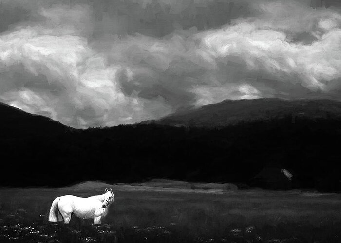White Greeting Card featuring the photograph White Stallion in a Monochrome Dreamscape by Wayne King