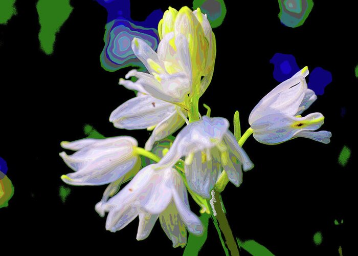 Whitebell Greeting Card featuring the photograph Whitebell abstract by Nicholas Henfrey