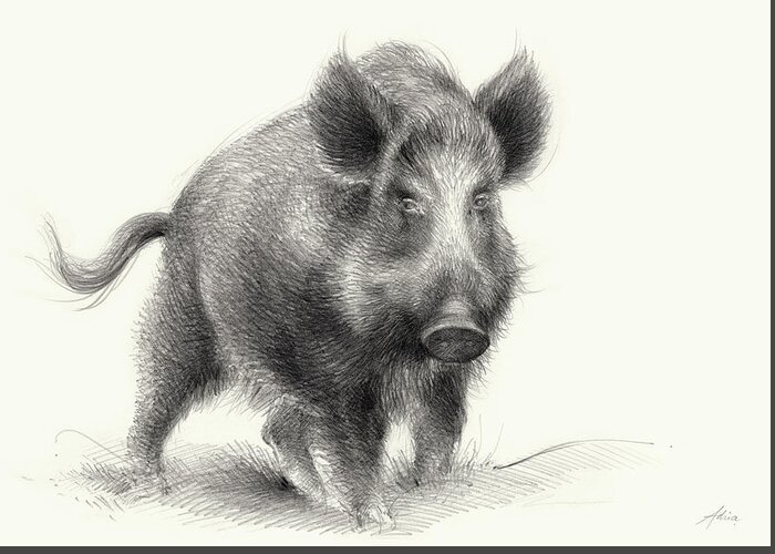 Wilderness Greeting Card featuring the drawing Wild boar by Adriana Mueller