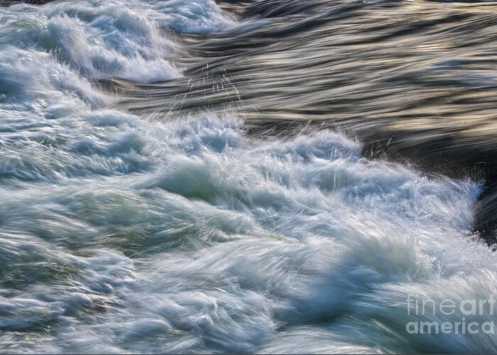Nemo Rapids Greeting Card featuring the photograph Wild Water by Phil Perkins