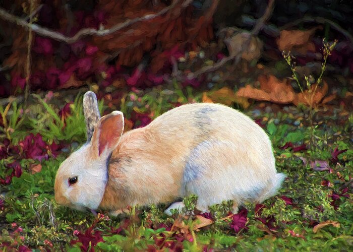 White Rabbit Greeting Card featuring the photograph Wild White Bunny by Peggy Collins