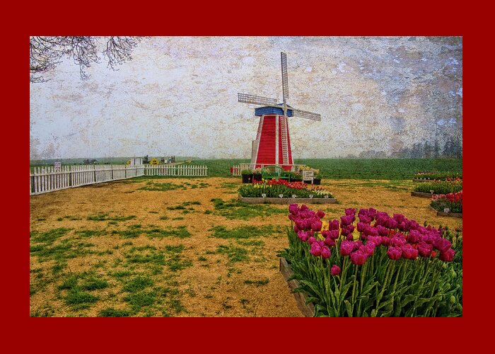 Hdr Greeting Card featuring the photograph Windmill and Tulips by Thom Zehrfeld