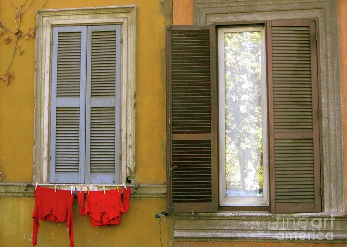 Window Greeting Card featuring the photograph Windows by Victoria Davis