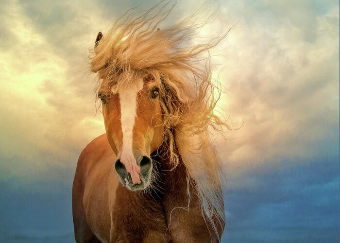 Horse Greeting Card featuring the digital art Windswept by Nicole Wilde