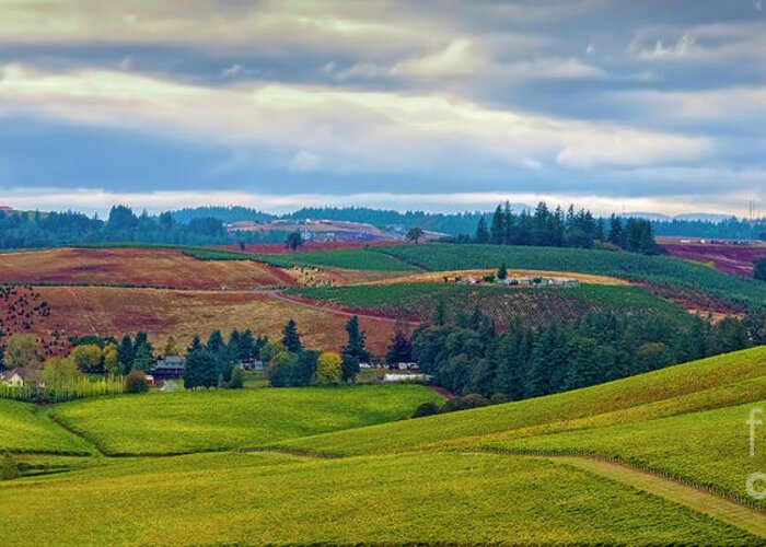 Jon Burch Greeting Card featuring the photograph Wine Country by Jon Burch Photography