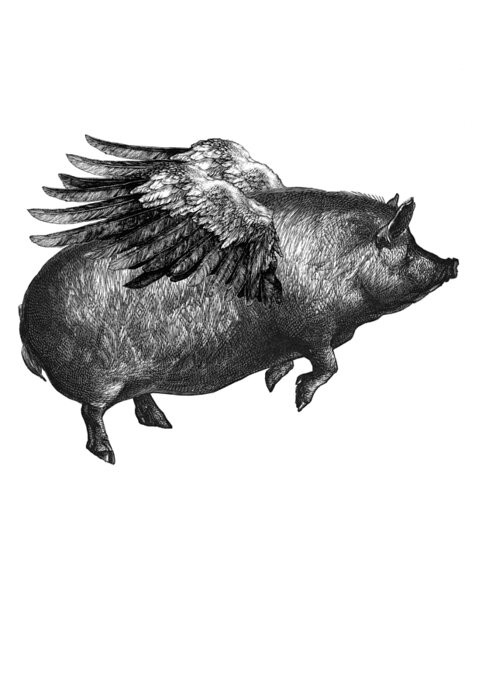Pig Greeting Card featuring the digital art Winged pig in black and white by Madame Memento