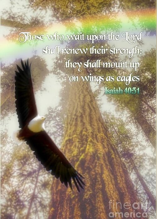 Eagle Greeting Card featuring the photograph Wings As Eagles by Kimberly Furey