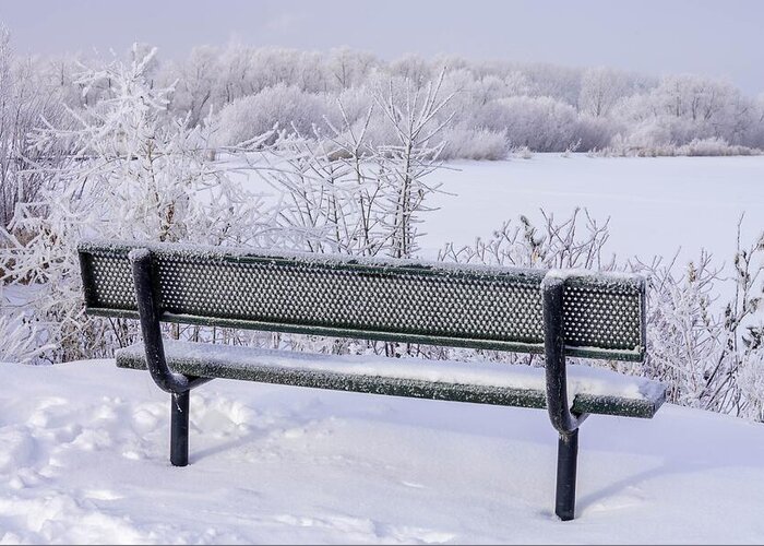 Lake Greeting Card featuring the photograph Winter Bench by Susan Rydberg
