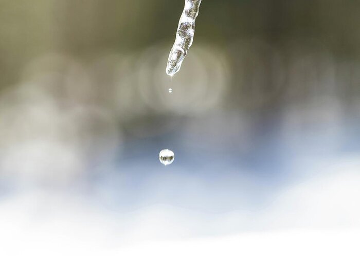 Water Greeting Card featuring the photograph Winter Icicle Macro by Amelia Pearn