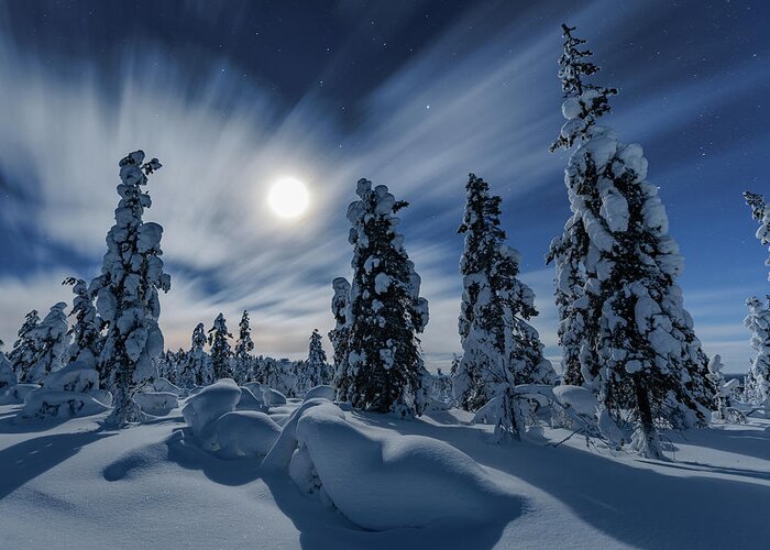 Winter Greeting Card featuring the photograph Winter night moon by Thomas Kast
