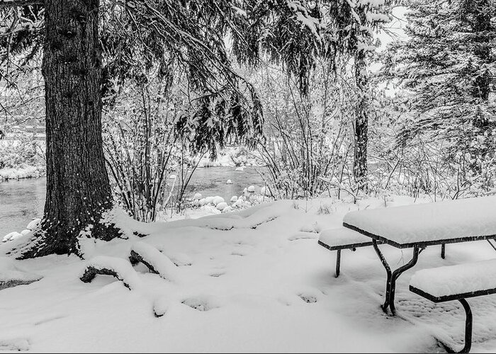 Bench Greeting Card featuring the photograph Winter Picnic, Snow blankets a picnic table on the bank of the Big Thompson River, in Estes Park, Co by Tom Potter
