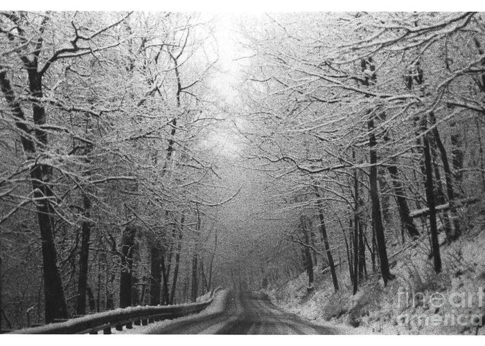 Winter Greeting Card featuring the photograph Winter Rt 528 by Mary Kobet