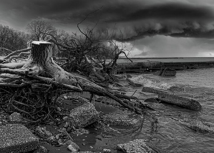 Winter Greeting Card featuring the photograph Winter Storm Debris Black and White by Scott Olsen