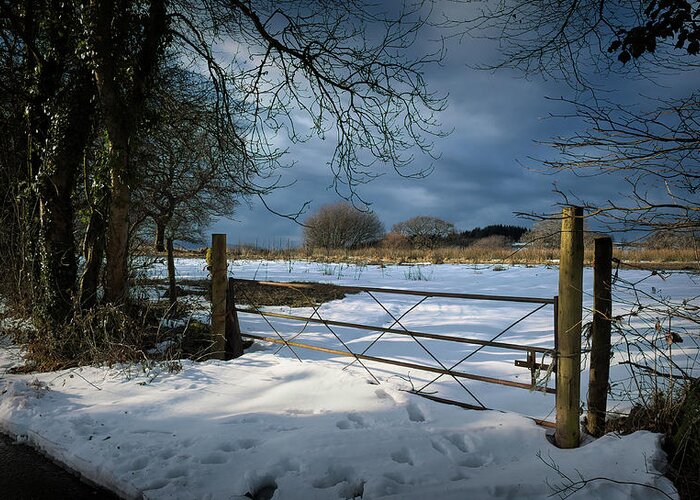 Snow Greeting Card featuring the photograph Winter Sun by Richard Downs