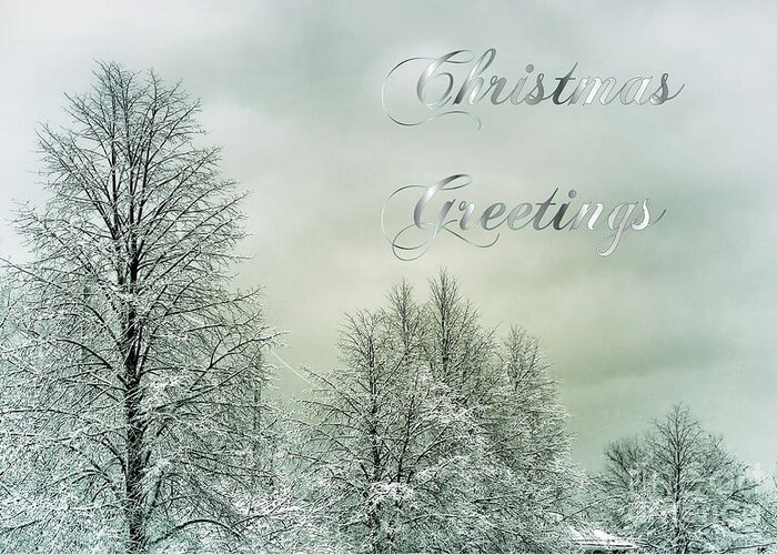 Christmas Greeting Card featuring the photograph Winter Trees by Elaine Manley