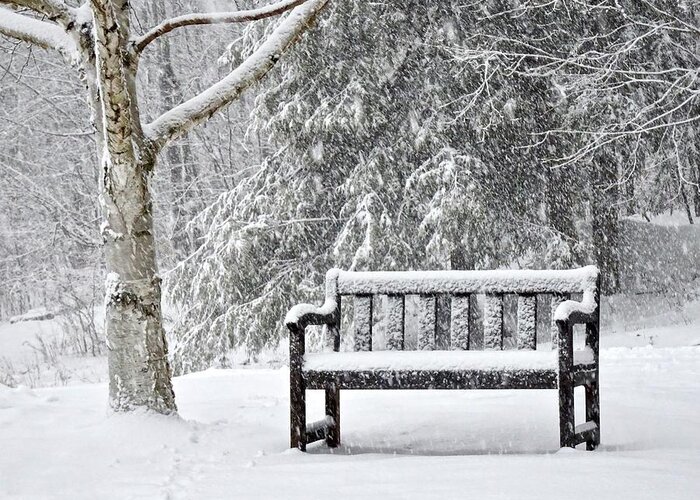 Bench Greeting Card featuring the photograph Winter Work by Catherine Arcolio