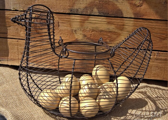 Wire Greeting Card featuring the photograph Wire Chicken Faux Eggs by Kae Cheatham