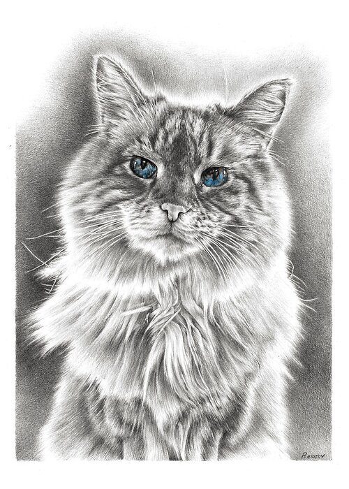 Cat Greeting Card featuring the drawing Wise Feline by Casey 'Remrov' Vormer