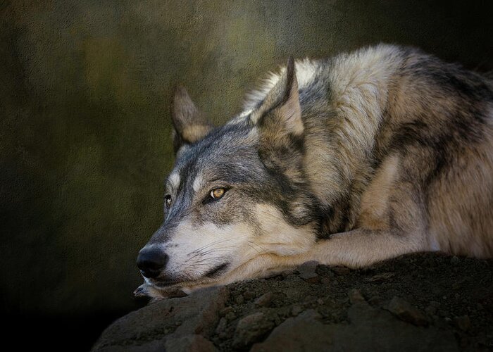 Wolf Greeting Card featuring the digital art Wolf Watch by Nicole Wilde