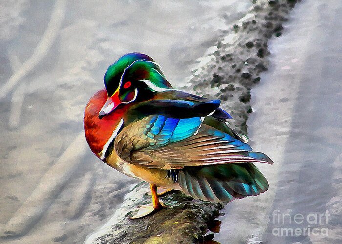 Wood Duck Greeting Card featuring the photograph Wood Duck with Watercolor Effects by Sea Change Vibes
