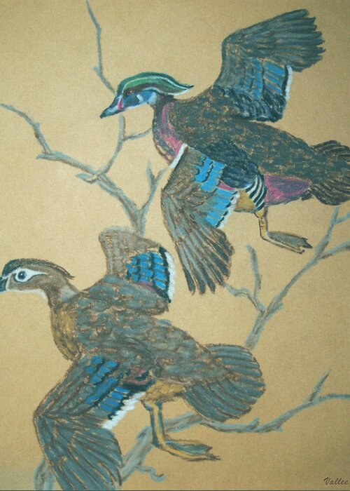 Nature Greeting Card featuring the pastel Wood Ducks by Vallee Johnson