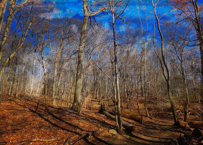Woods Greeting Card featuring the digital art Woods with Deep Blue Sky by Russ Considine