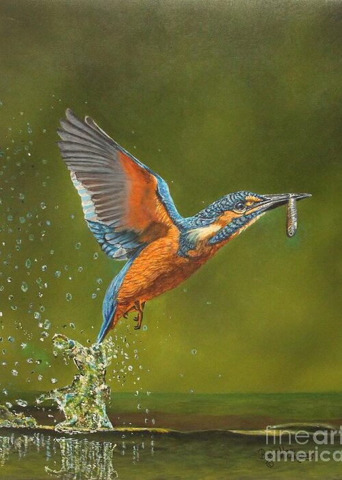 Kingfisher Greeting Card featuring the painting Kingfisher...Working hard for my supper by Bob Williams