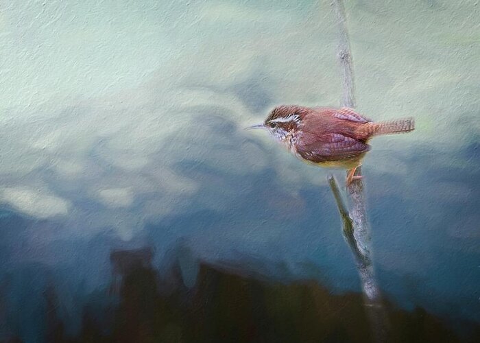 Texture Greeting Card featuring the photograph Wren on the Mountain by Marjorie Whitley