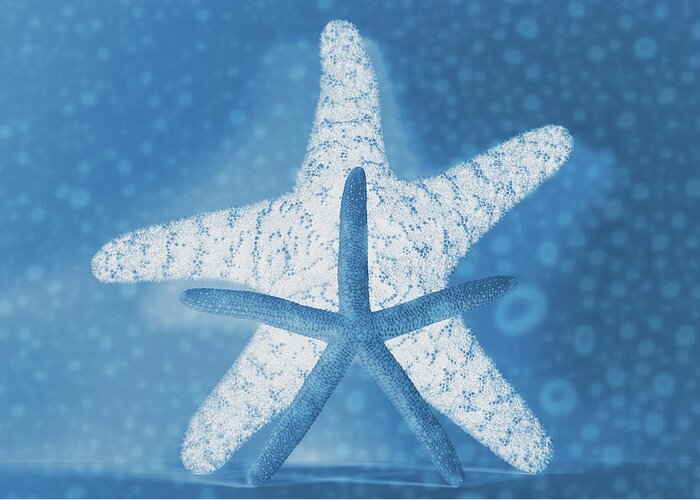 X-ray Greeting Card featuring the photograph X-Ray Starfish by Angie Tirado