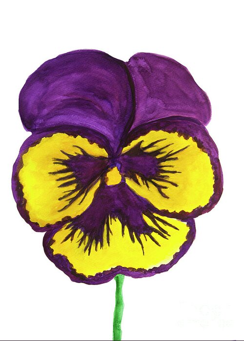 Pansy Greeting Card featuring the painting Yellow and purple colours pansy on white background by Irina Afonskaya