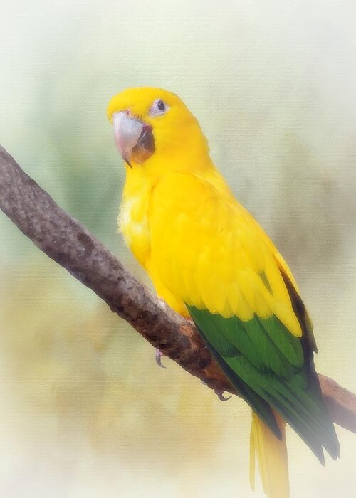 Bird Greeting Card featuring the mixed media Yellow Green Parrot Bird 83 by Lucie Dumas