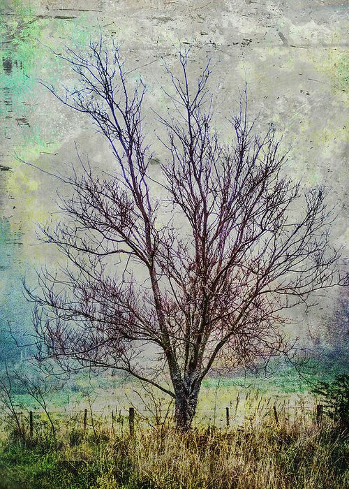 Tree Greeting Card featuring the photograph Yesteryear 2 by Roseanne Jones