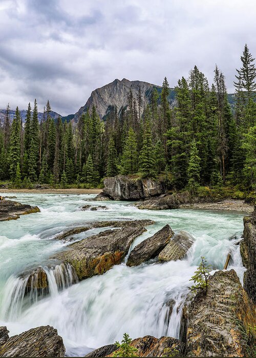 Kicking Horse River Greeting Card featuring the photograph Yoho National Park Natural Bridge by Dan Sproul